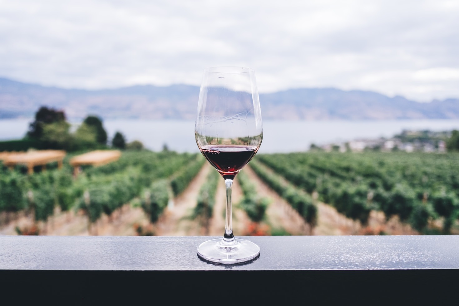 Cantine storiche e i loro vini iconici